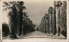 RPPC Riverside,CA Maude Street California Real Photo Post Card Vintage picture