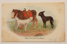 Antique Donkey Nursing Satire Postcard Well You Have Your Nerve Undivided Back picture