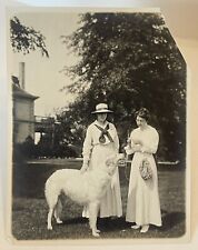 Vintage Photograph Black White Snapshot Women Playing With White Dog Identified picture