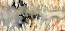 Stinking Water Plume Agate rock slabs (2) lapidary cabbing rough picture