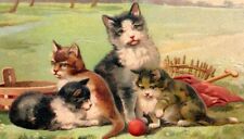 c1907 Country Cats, Vintage Postcard, basket, embossed picture