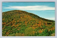 Mena AR-Arkansas, Mountain Autumn Talimena Drive, Antique, Vintage Postcard picture
