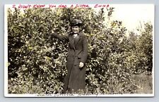RPPC Sister Emma Picking Lemons Hand Colored Antique Postcard Sent In 1985 13c picture