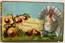Postcard Thanksgiving Embossed Turkey Fruit 1910 St Paul Minn Winsch Back D116 picture