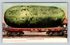 CA-California, A Huge Watermelon On A Train Bed, Antique Vintage Postcard picture