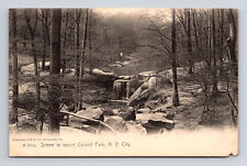 c1905 UDB Postcard Rotograph Landscape Scene in Upper Central Park New York NY picture