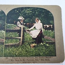Antique Griffith & Griffith Stereoview Card, #89 Couples Humor picture