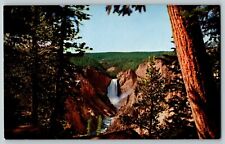 Postcard Lower Falls Yellowstone River Wyoming picture