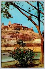 Cartagena Colombia Fuerte De San Felipe Ruins Historical Flower Vintage Postcard picture