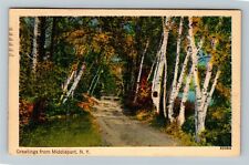 Middleport NY-New York, Scenic View Forest, Vintage Postcard picture