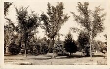 Vtg Postcard-Village Park, Jeffers, Minnesota picture