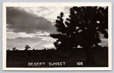 Beautiful Desert Sunset, Joshua Tree Silhouettes, VTG RPPC Real Photo Postcard picture