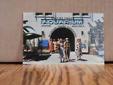 Key West Municipal Aquarium Florida Photochrome Post Card picture