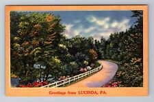 Lucinda PA-Pennsylvania, Scenic Greetings, Roadway, Vintage Postcard picture