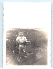 Vintage Photo 1944, Cute Baby on Bouncer, Front Lawn, 3.5 x 2.5 picture