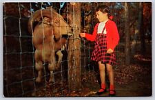 Girl Feeding the Aoudad Barbary Sheep Birch Hill Game Park Patterson NY Card picture