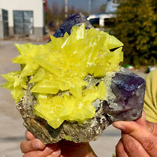5.78LB Minerals ** LARGE NATIVE SULPHUR OnMATRIX Sicily With+amethyst Crystal picture