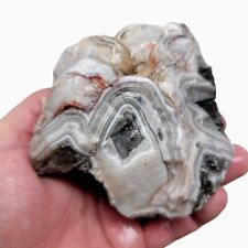 Old Vein Lace Agate Rough Chunk picture