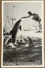 RPPC Florida Marineland Lady Feeding Dolphin Vintage Real Photo Postcard c1940 picture