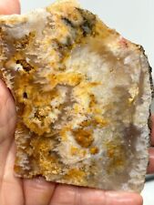 Amazing Plume Agate slab Cabbing Lapidary Collecting Combo Ship Avail Oregon picture