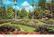 Postcard CA Sacramento Capital Park Flowers Garden Trees Scrubs Horticultural picture