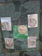 5  ABALONE FROM INDIA BUTTONS,lge, 50MM picture