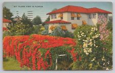 Flame View in Florida FL 1952 Postcard Colorful Red Flowers Around Home picture