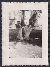 Old Vintage Photo Fluffy Cat Odd Coloring Two Tone Coat picture