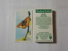 Brooke Bond Tea Cards Woodland Wildlife 1980 Complete Set 40 picture