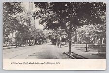 Street and Trinity Church Looking East Williamsport Pennsylvania 1905 Postcard picture