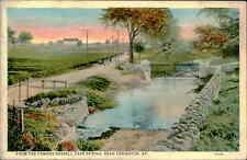 Postcard: FROM THE FAMOUS RUSSELL CAVE SPRING, NEAR LEXINGTON, KY. 705 picture