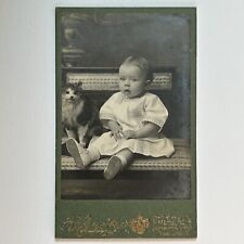 Antique CDV Photograph Adorable Baby With Taxidermy Cat Spooky Odd Russia picture