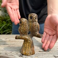 1.7LB 5.9''Natural Tiger Eye Stone Two Owl Statue Ornament Crystal Craft Gift picture