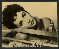 ELIZABETH TAYLOR ACTRESS VINTAGE MGM ORIGINAL PHOTO picture