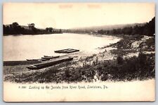 Lewistown Pennsylvania~Juniata River View~River Road~Rotograph~c1905 Postcard picture