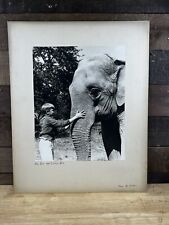 Vintage Elephant Photo “Big Boy And Little Boy”  picture