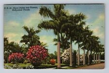 Hollywood FL-Florida, Royal Palms And Flowers, Antique, Vintage c1942 Postcard picture