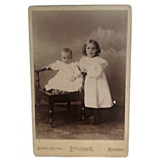 Antique Original 1800s Photography By Prichard Benton Harbor Michigan 6.5”X4.25