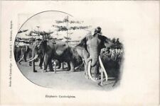 CPA AK Elephants Cambodia CAMBODIA (1069102) picture