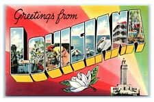 Postcard Greetings from Louisiana LA, large letter linen unused W25 picture