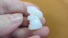 Y-BUN-503 little White Opalite Bunny Rabbit gemstone FIGURINE carving gem Easter picture