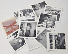 Lot of 10 Vintage Polaroid Pics 1960-1970 Farm Animals People Random Ephemera  picture