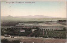 1912 ESCONDIDO, California Postcard 