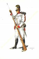 Illustration J.Demart Militaria Belgium Regiment Archduke Joseph 1802 picture