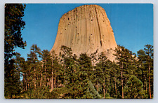 Vintage Postcard Devils Tower Wyoming  picture