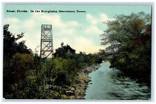 c1910 In The Everglades Observatory Tower Miami Florida FL Antique Postcard picture
