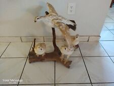 Vintage taxidermy Ptarmigan  Group Mount Scenery  picture