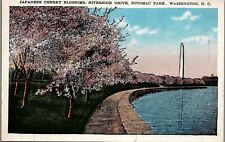 c1930 WASHINGTON D.C. JAPANESE CHERRY BLOSSOMS RIVERSIDE DRIVE POSTCARD 26-162 picture