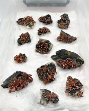 Set of 13 Natural Vanadinite Crystals from Morocco, 414grams Mineral Specimens picture
