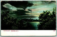 Moonlight Night View on Lake Urlton Catskills New York NY 1911 DB Postcard I11 picture